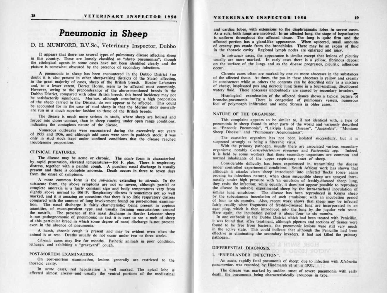 1958 Page 18 19